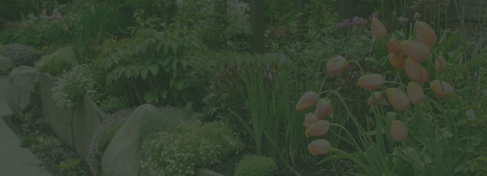 Billede af bed i grønne toner